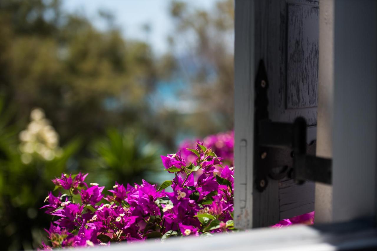 Ostria Studios & Apartments Aliki  Exterior photo